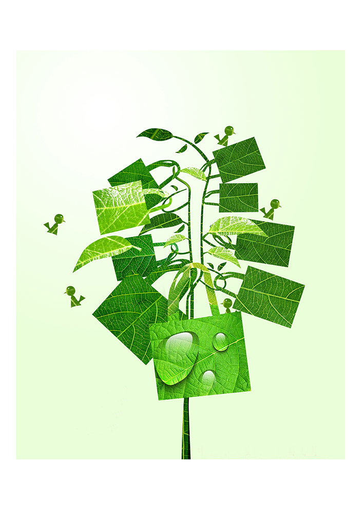 一花一世界，一個(gè)環(huán)保袋一抹綠